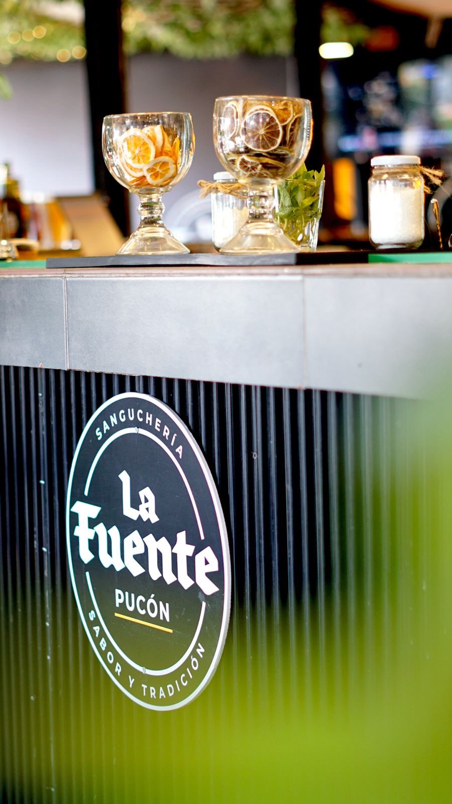 La Fuente Pucón